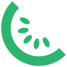 Kiwify Logo